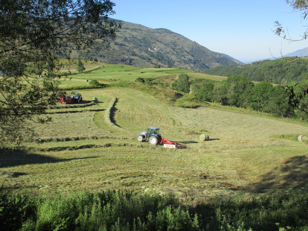 Chalet St Pierre Dels Forcats Saint Pierre dels Forcats Bagian luar foto
